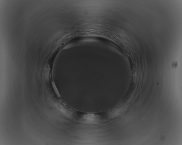 X0000091530231200708241718