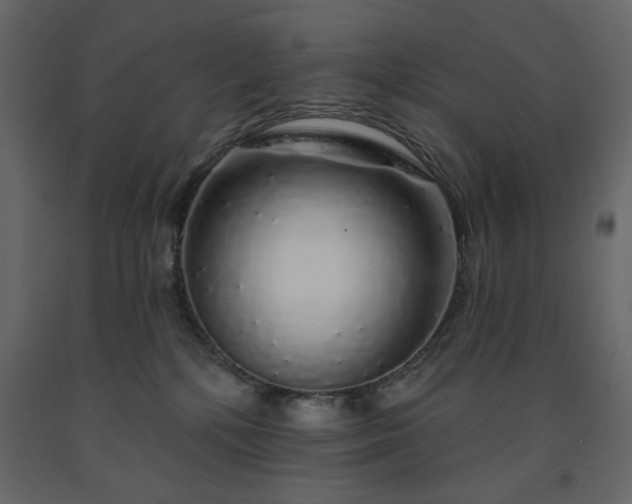 X0000091530232200708241718