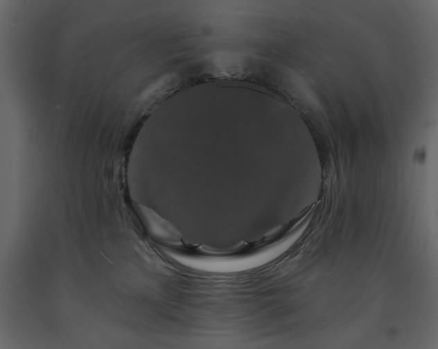 X0000091530233200708241718
