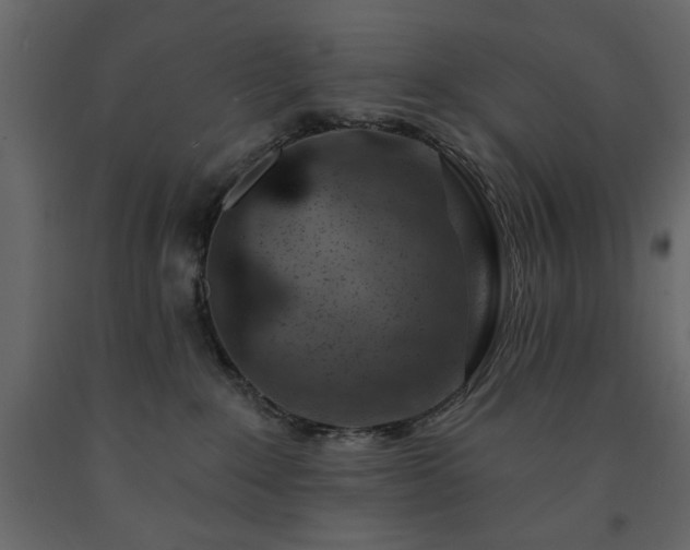X0000091530235200708241718