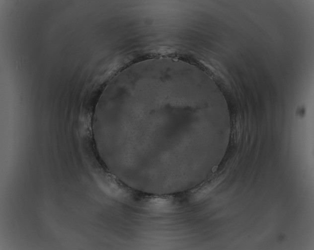 X0000091530236200708241718