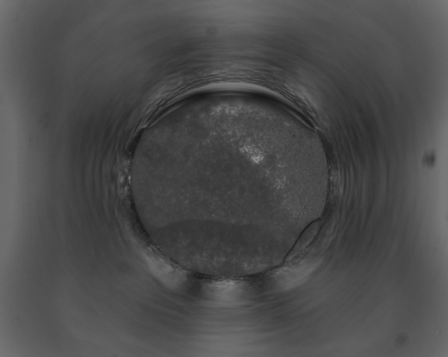 X0000091530237200708241718