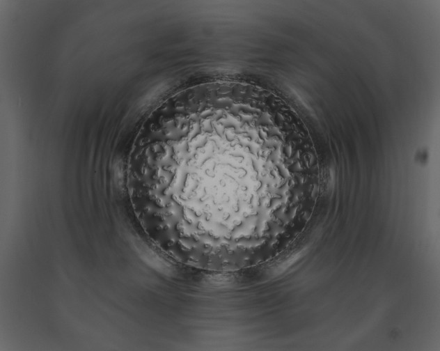 X0000091530238200708241718