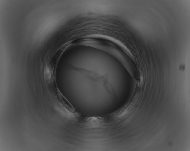 X0000091530239200708241718