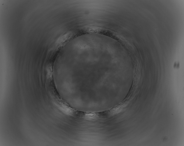 X0000091530240200708241718