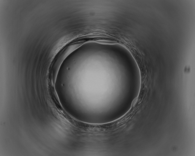X0000091530242200708241718