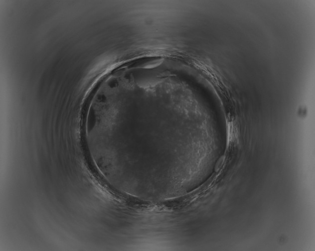 X0000091530243200708241718