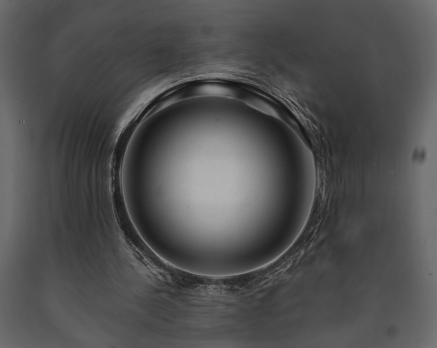 X0000091530244200708241718