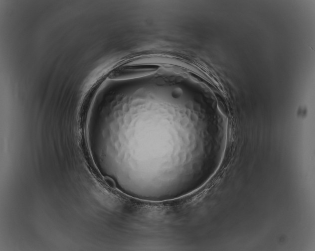 X0000091530245200708241718