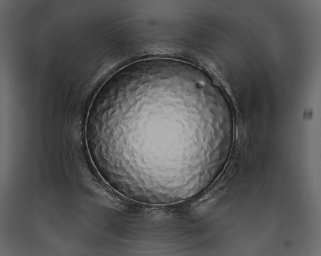 X0000091530249200708241718