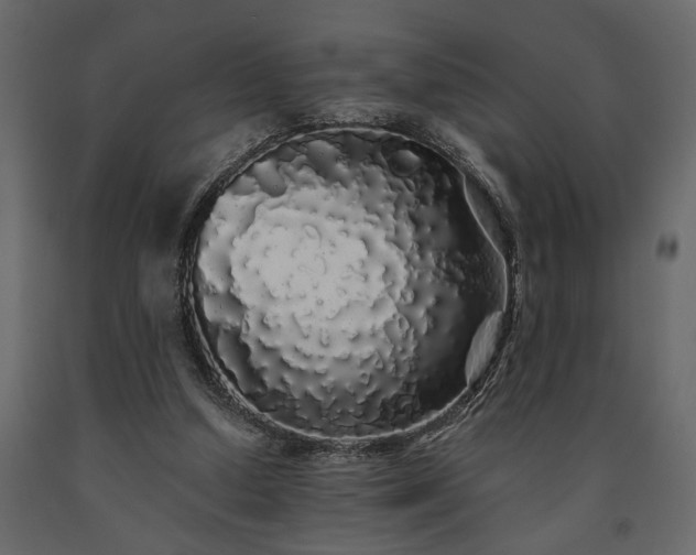 X0000091530250200708241718