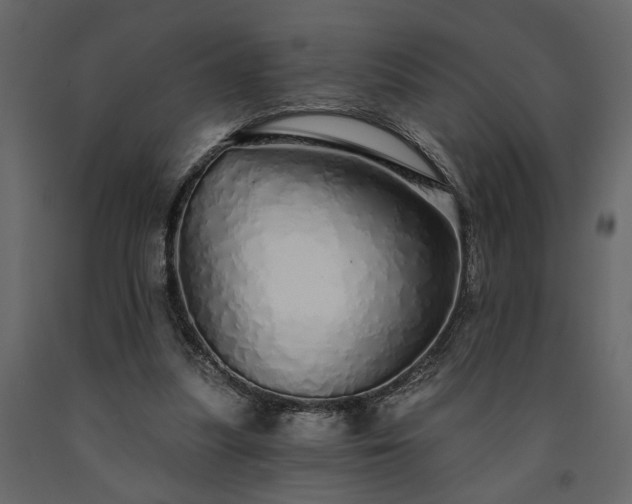 X0000091530251200708241718