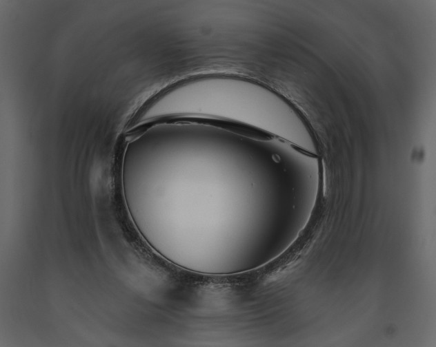 X0000091530252200708241718