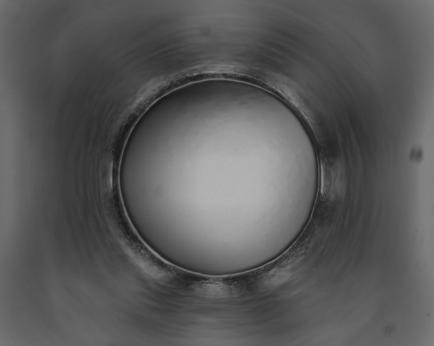 X0000091530253200708241718