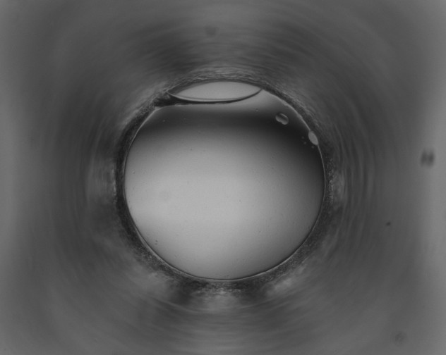X0000091530254200708241718