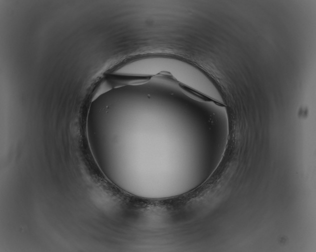 X0000091530256200708241718