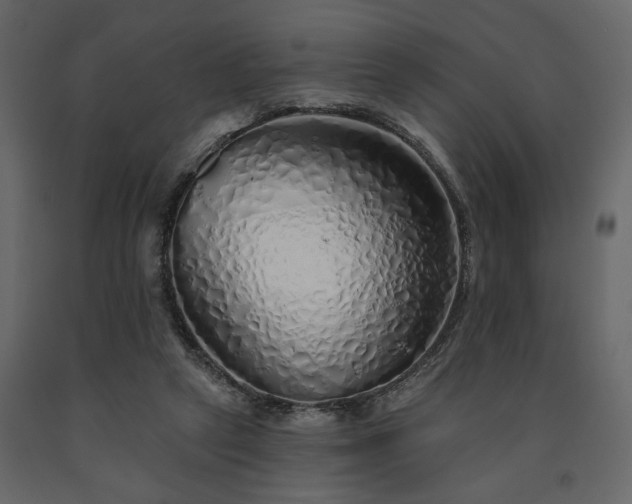 X0000091530257200708241718