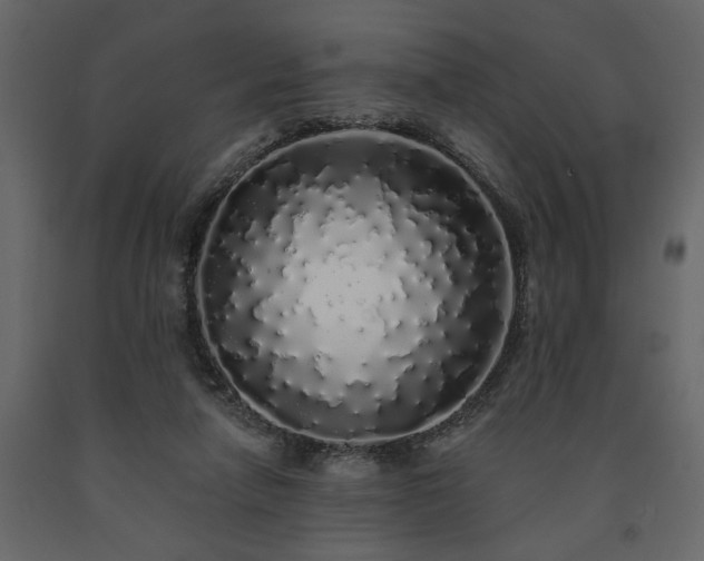 X0000091530258200708241718