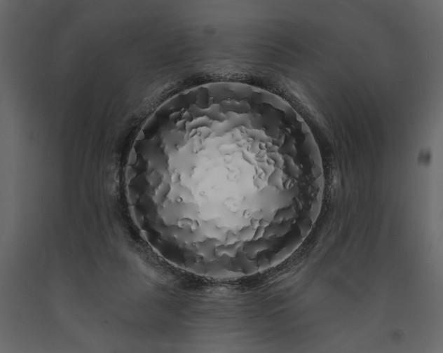 X0000091530259200708241718
