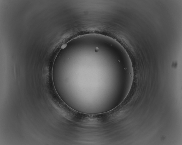 X0000091530260200708241718