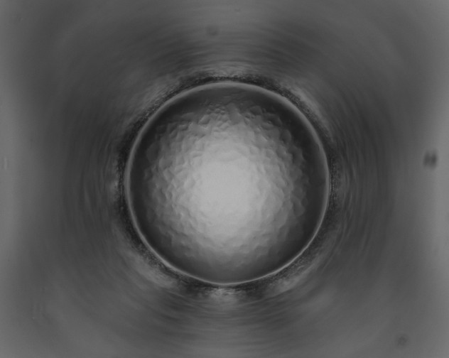 X0000091530261200708241718