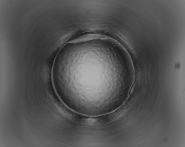 X0000091530265200708241718