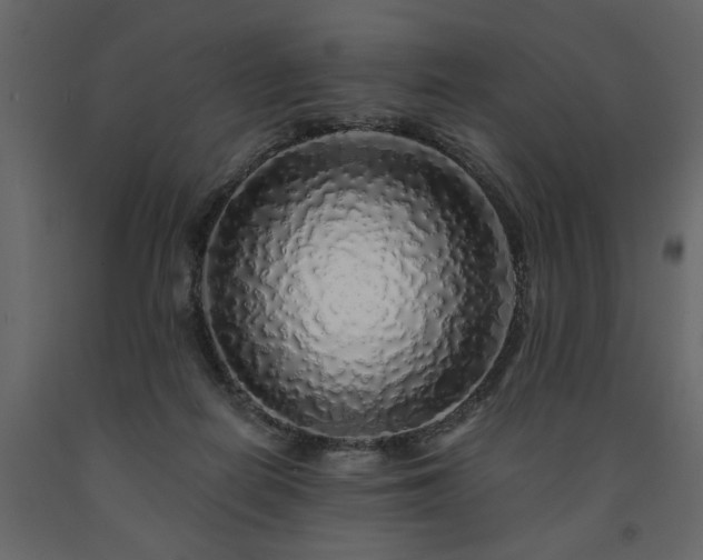 X0000091530266200708241718