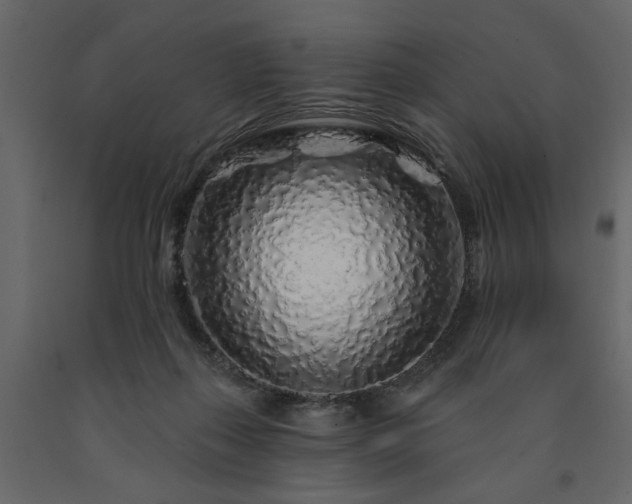 X0000091530267200708241718