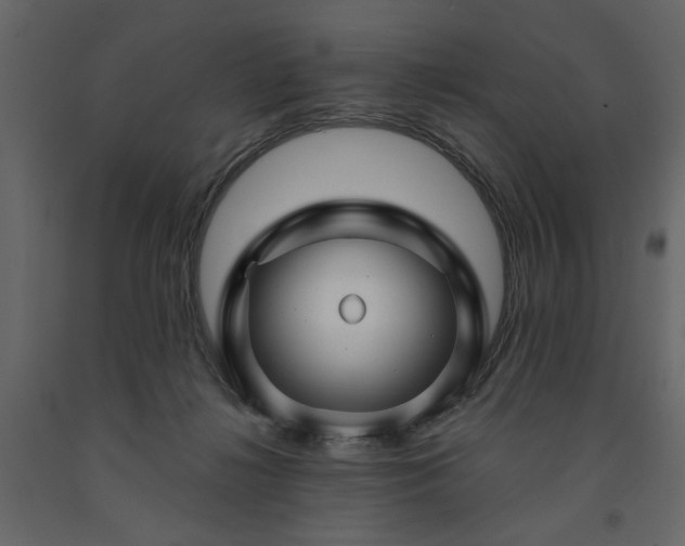 X0000091530268200708241718