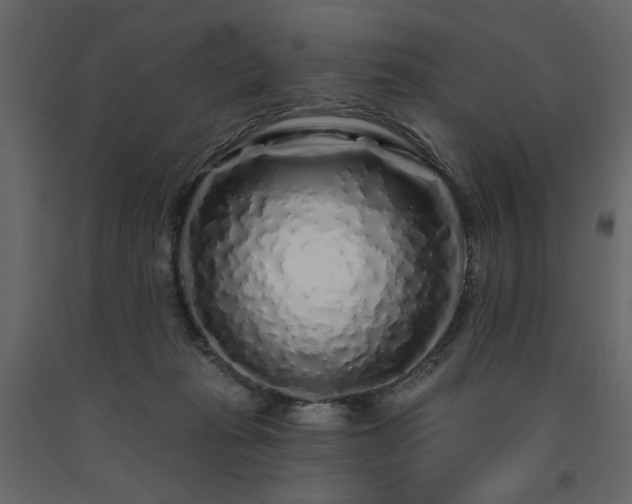 X0000091530269200708241718