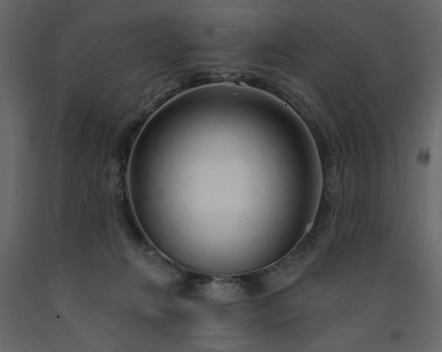 X0000091530270200708241718
