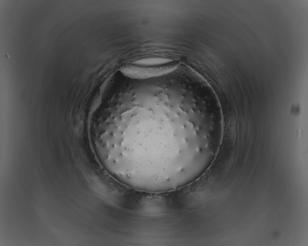 X0000091530271200708241718