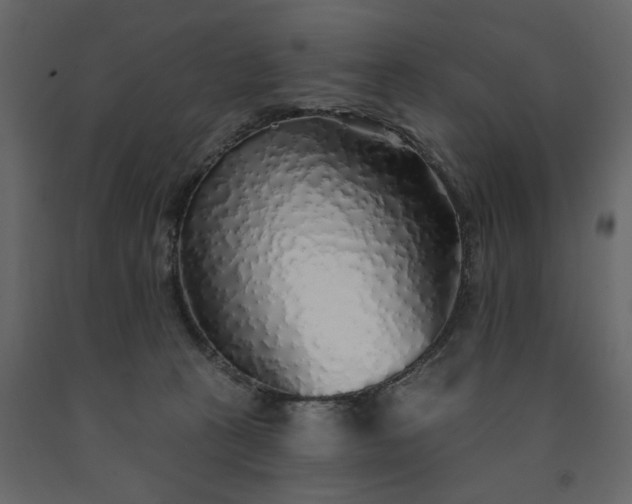 X0000091530273200708241718