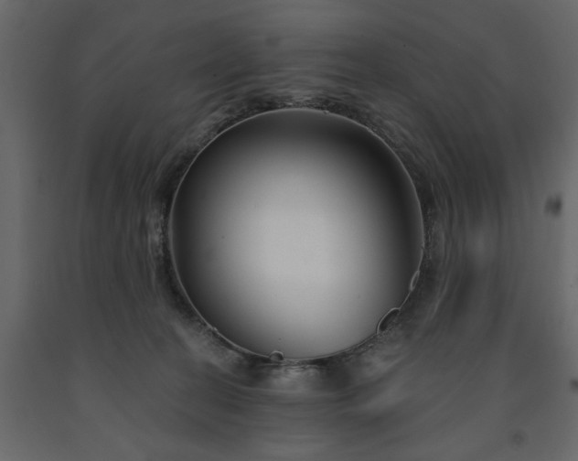 X0000091530274200708241718
