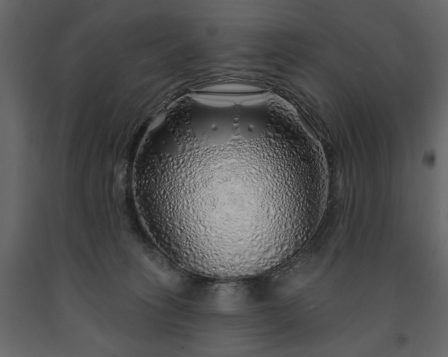 X0000091530275200708241718