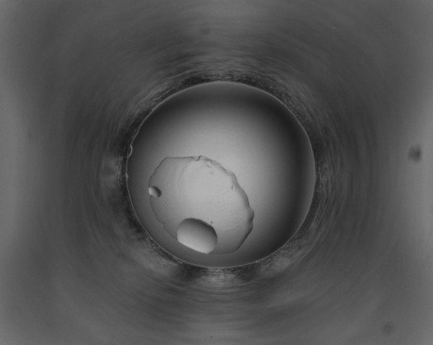 X0000091530278200708241718