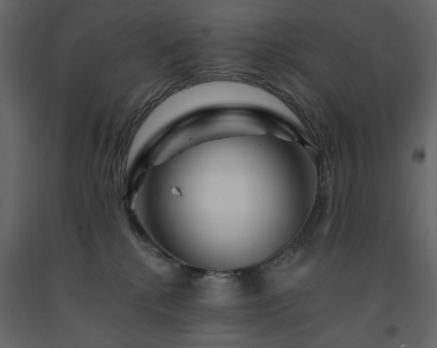 X0000091530280200708241718
