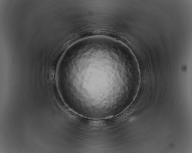 X0000091530281200708241718
