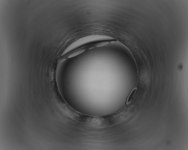 X0000091530282200708241718