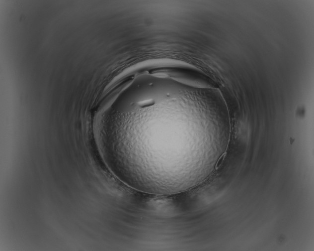 X0000091530283200708241718