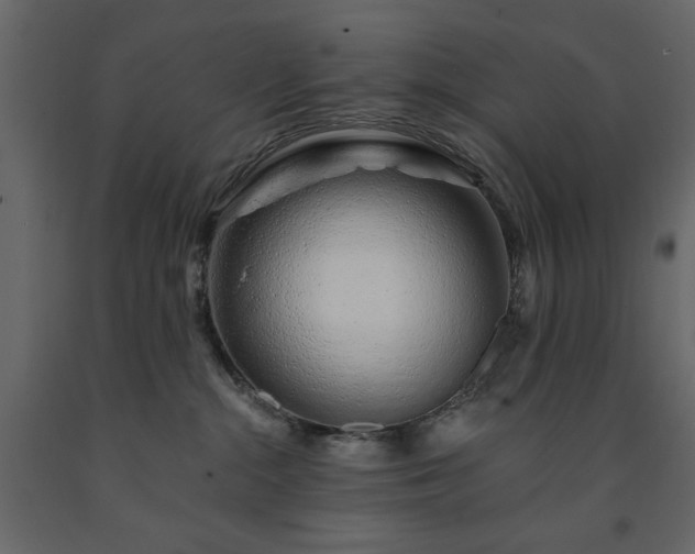 X0000091530284200708241718