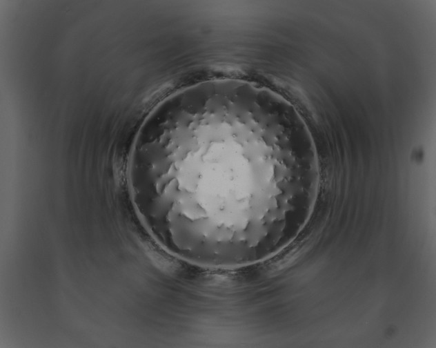 X0000091530285200708241718