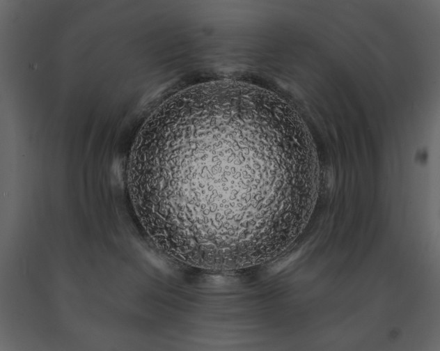 X0000091530286200708241718