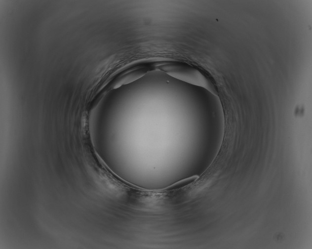 X0000091530288200708241718