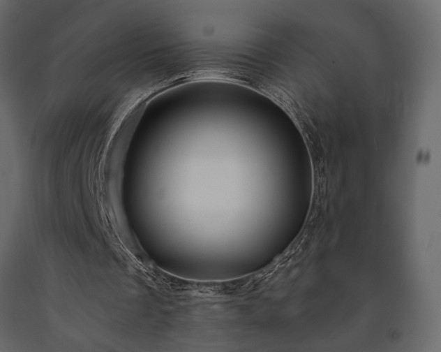 X0000091530289200708241718