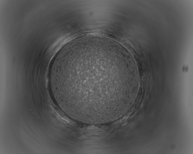 X0000091530290200708241718