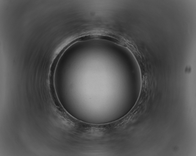 X0000091530292200708241718