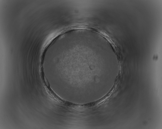 X0000091530293200708241718