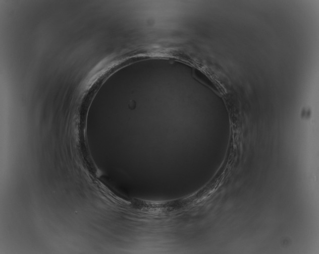 X0000091530295200708241718
