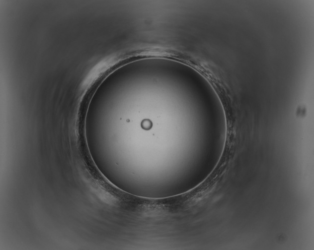 X0000091530296200708241718